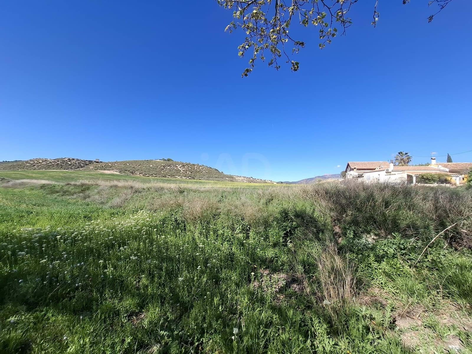 3 Zimmer Haus zu verkaufen in Zarzadilla de Totana - 118.000 € (Ref: 9989215)