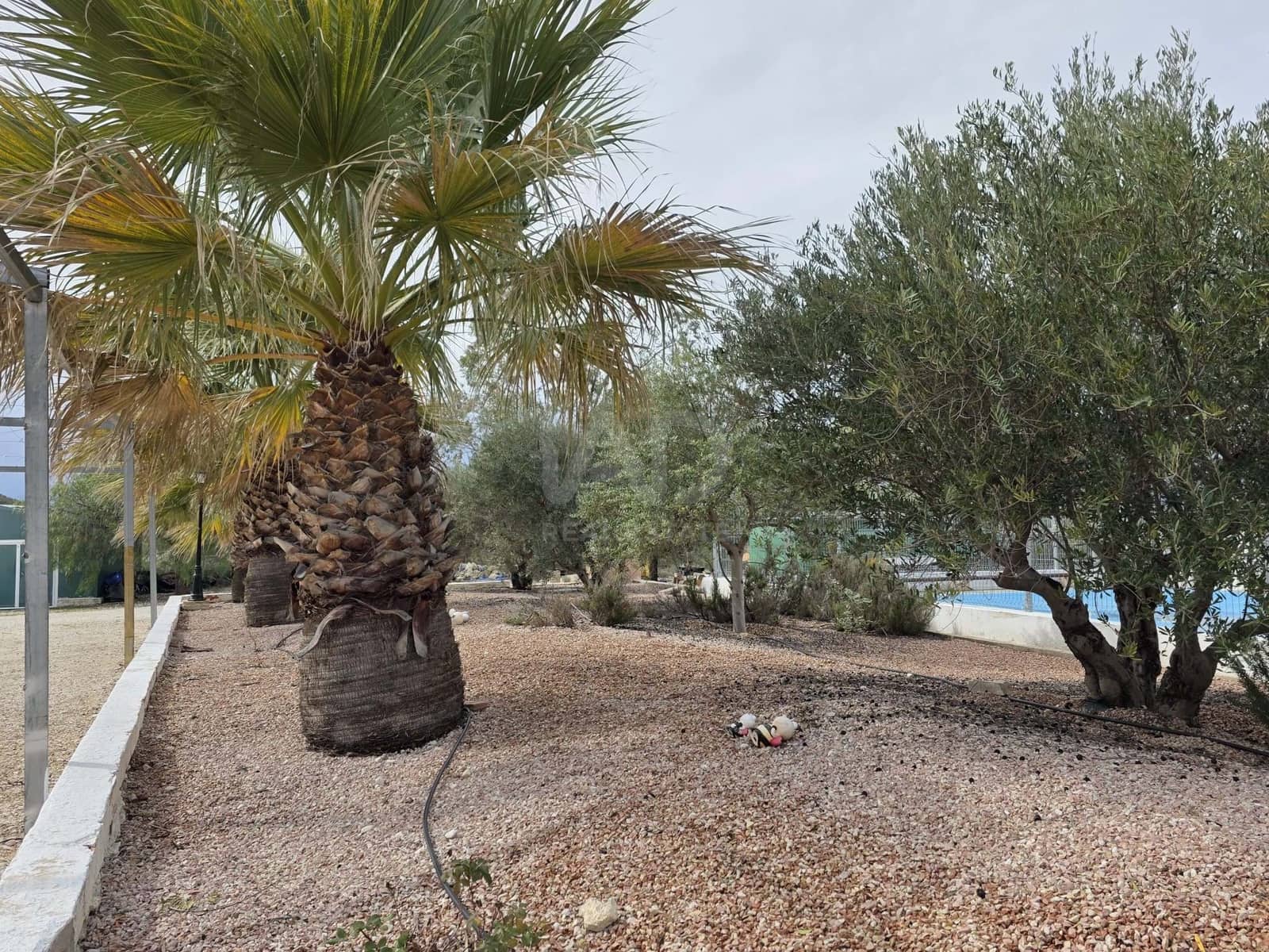 4 soverom Finca/Herregård til salgs i Calasparra - € 632 000 (Ref: 9989216)