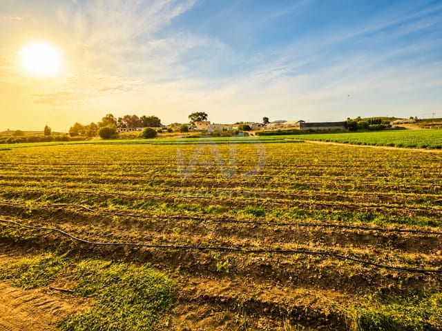 Grond te koop in Calasparra - € 30.000 (Ref: 9989217)