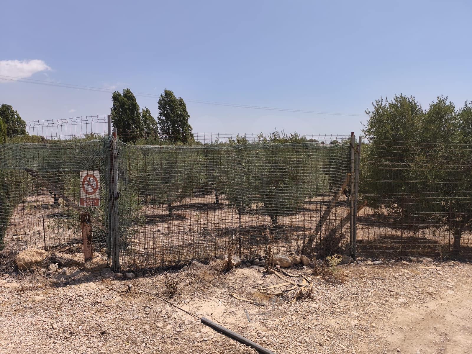 Terreno/Finca Rústica en Llorenç del Penedès en venta - 85.000 € (Ref: 9989221)