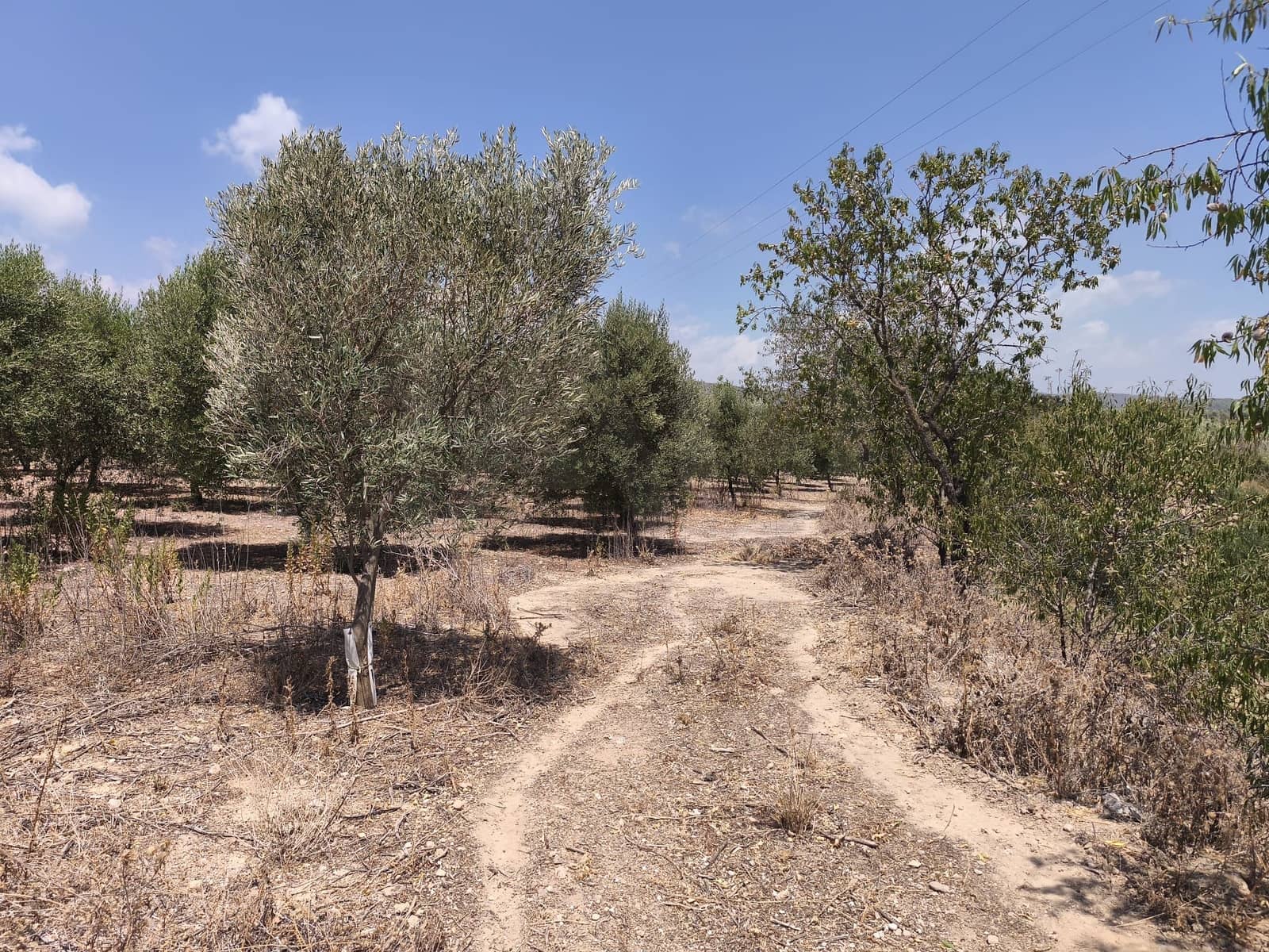Terreno/Finca Rústica en Llorenç del Penedès en venta - 85.000 € (Ref: 9989221)