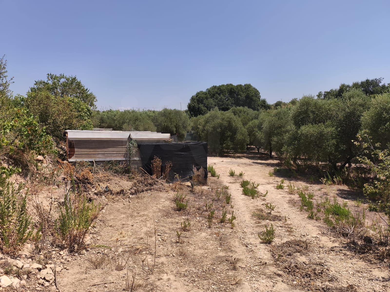 Terreno/Finca Rústica en Llorenç del Penedès en venta - 85.000 € (Ref: 9989221)