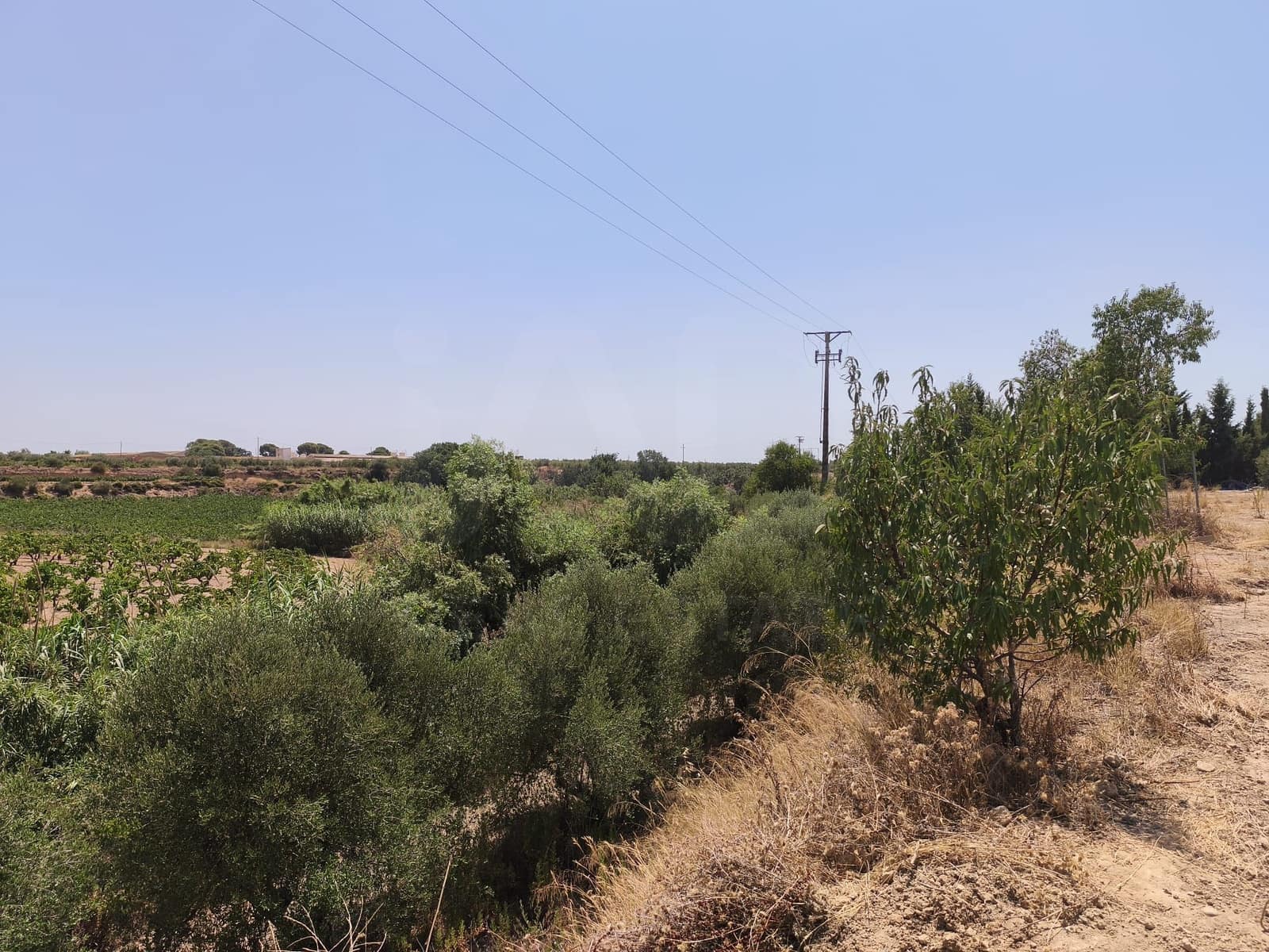 Terreno/Finca Rústica en Llorenç del Penedès en venta - 85.000 € (Ref: 9989221)