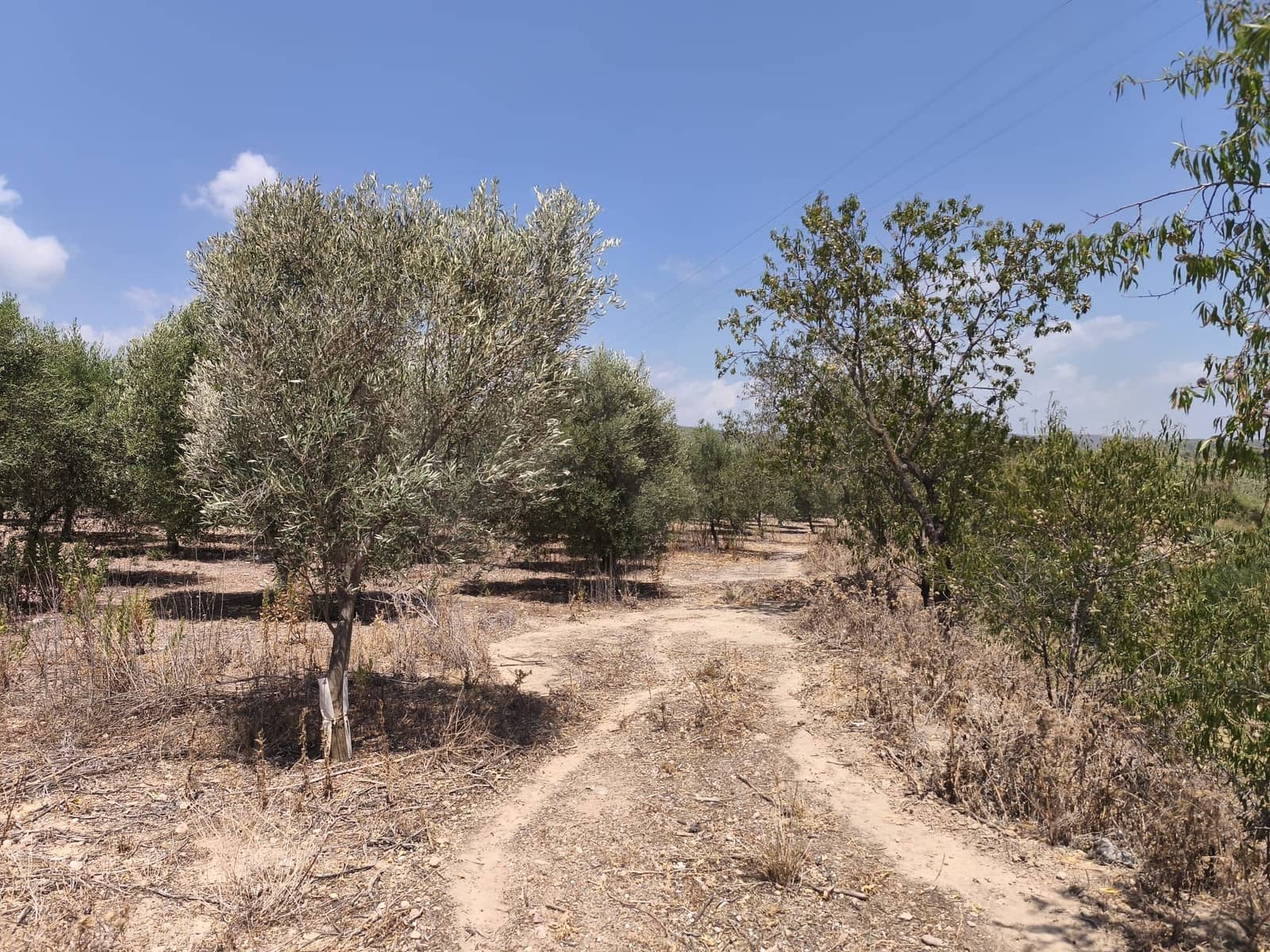 Terreno/Finca Rústica en Llorenç del Penedès en venta - 85.000 € (Ref: 9989221)