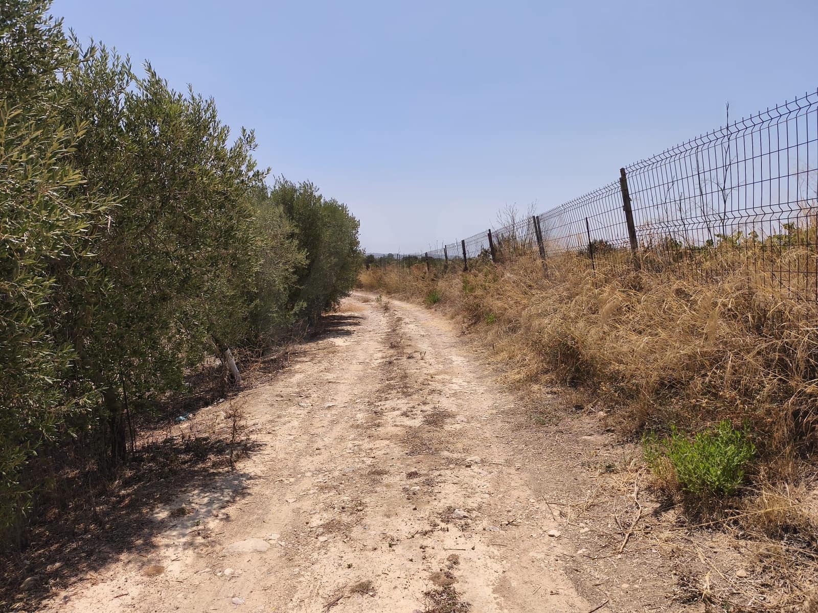 Terreno/Finca Rústica en Llorenç del Penedès en venta - 85.000 € (Ref: 9989221)