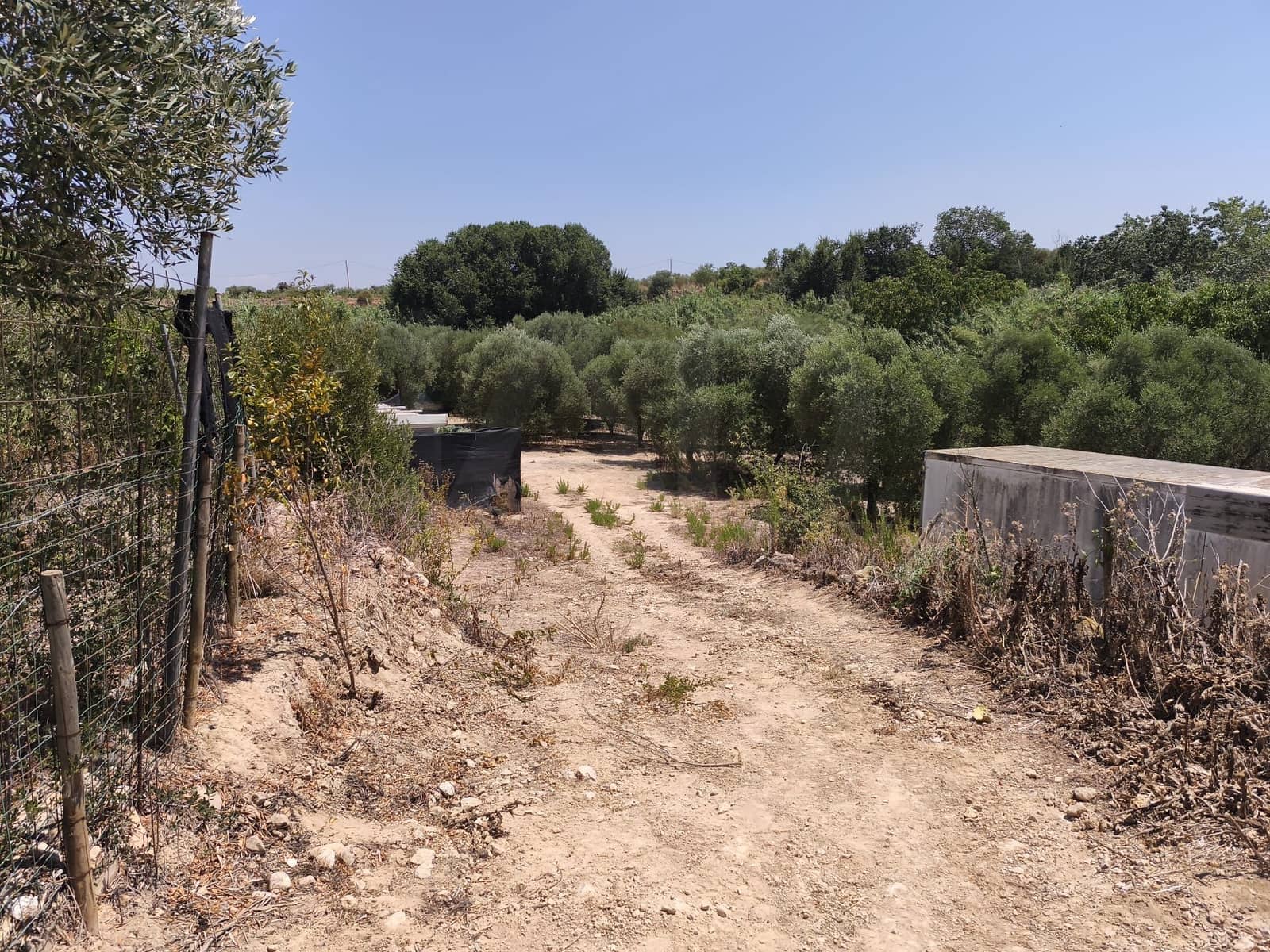 Terreno/Finca Rústica en Llorenç del Penedès en venta - 85.000 € (Ref: 9989221)