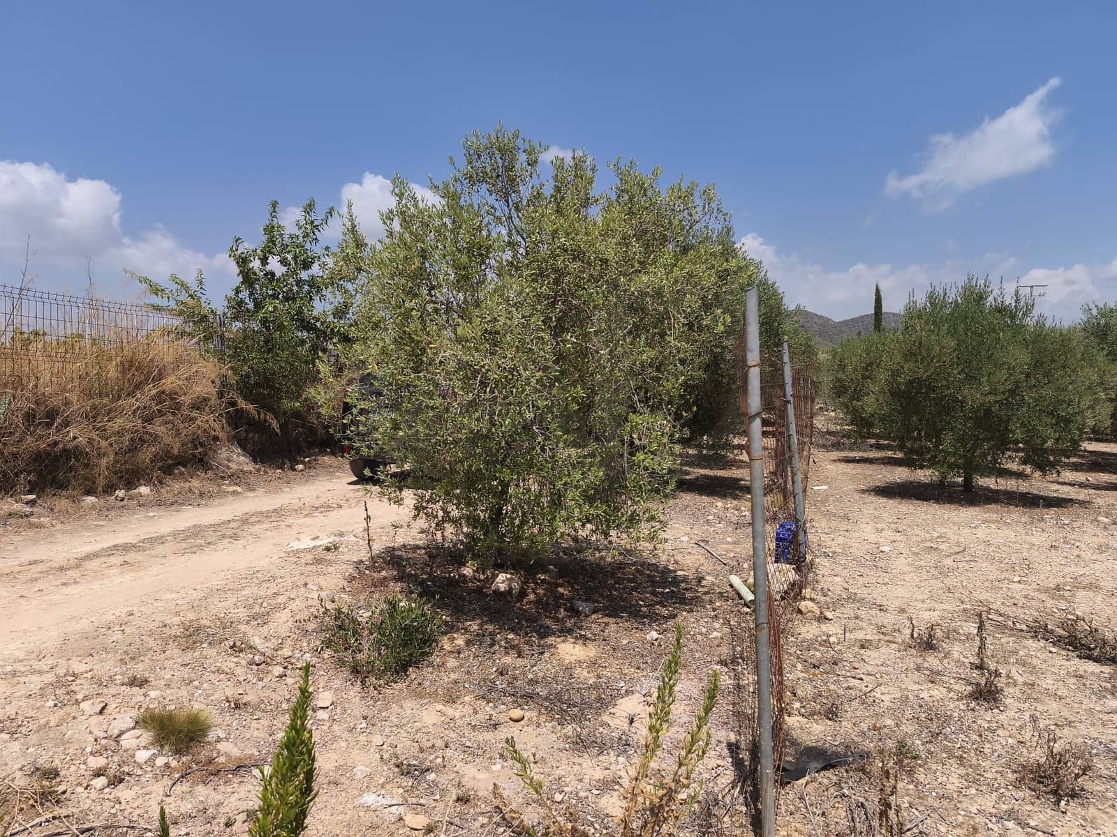 Terreno/Finca Rústica en Llorenç del Penedès en venta - 85.000 € (Ref: 9989221)