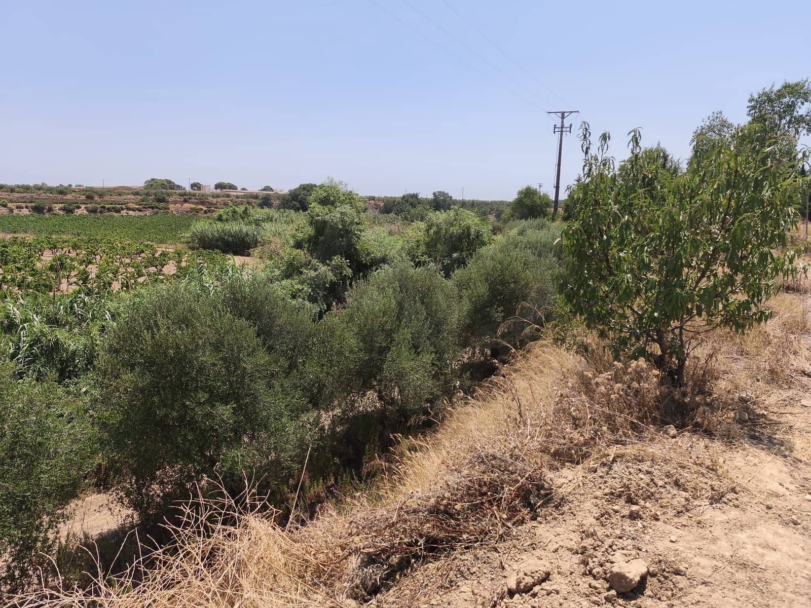 Terreno/Finca Rústica en Llorenç del Penedès en venta - 85.000 € (Ref: 9989221)