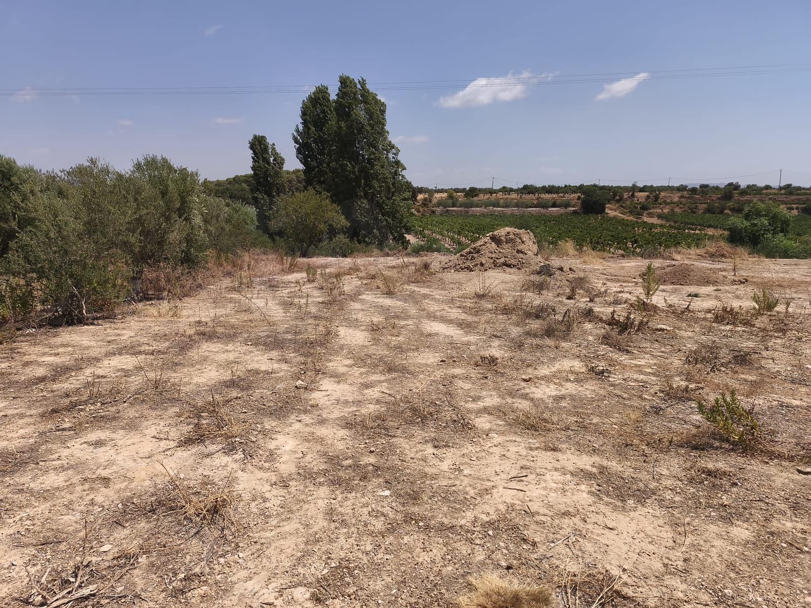 Terreno/Finca Rústica en Llorenç del Penedès en venta - 85.000 € (Ref: 9989221)