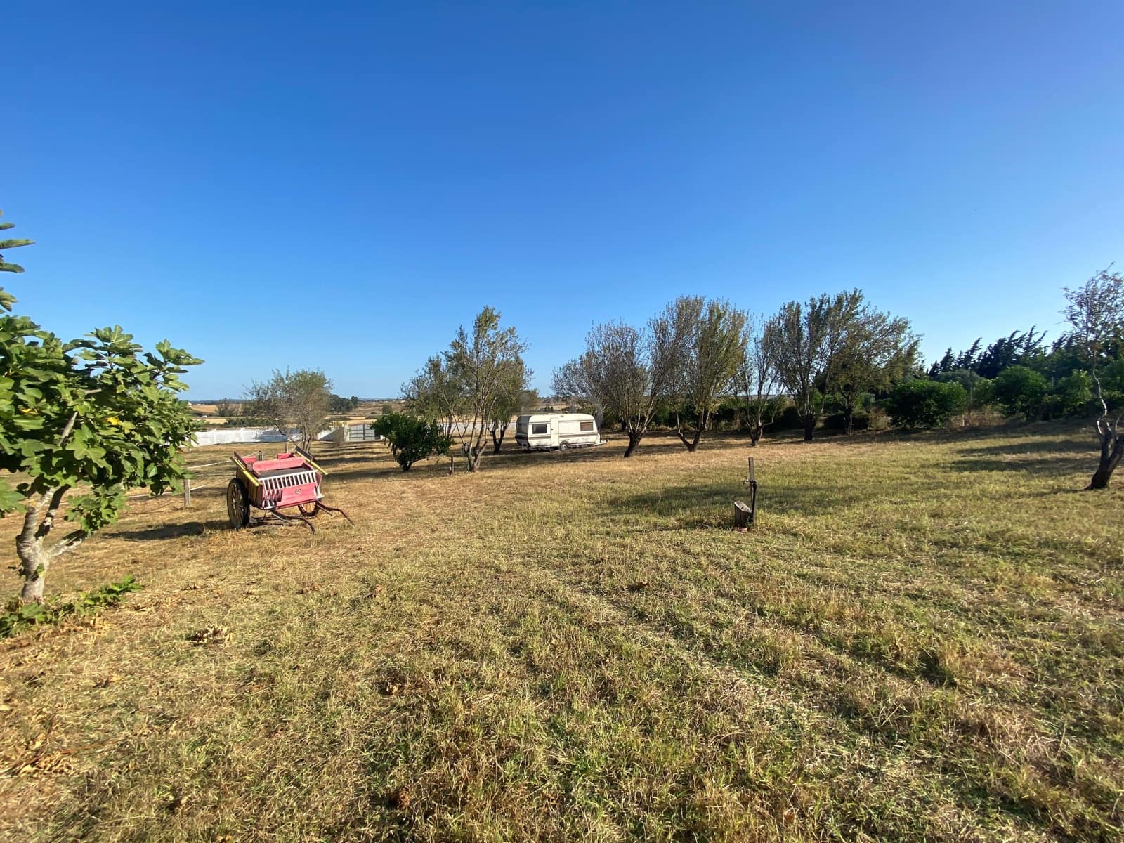 5 soverom Finca/Herregård til salgs i Cadiz by - € 490 000 (Ref: 9989222)