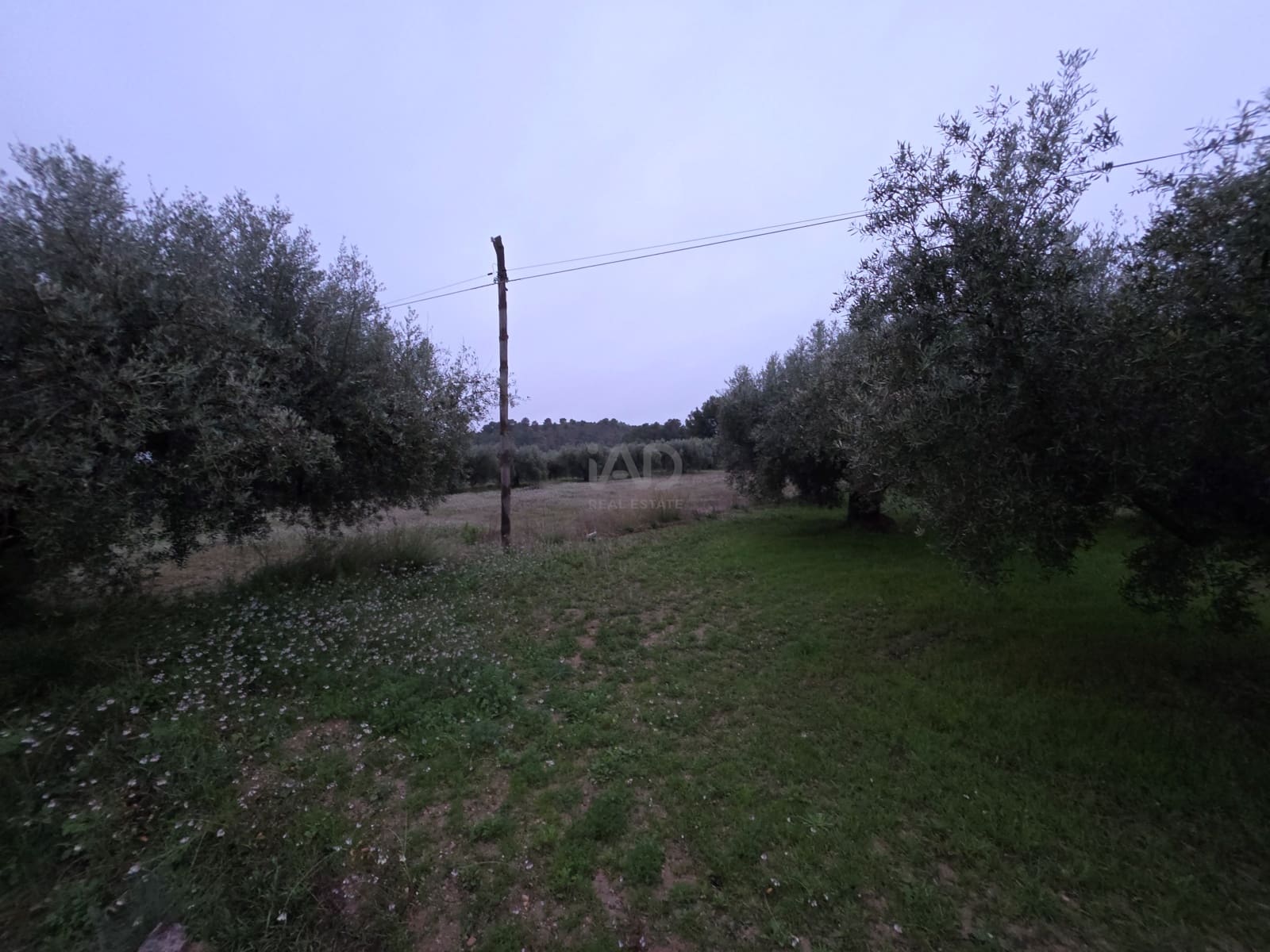 7 soverom Finca/Herregård til salgs i Moratalla med svømmebasseng garasje - € 540 000 (Ref: 9989226)