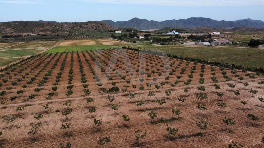 Grond te koop in Lorca - € 146.000 (Ref: 9989227)
