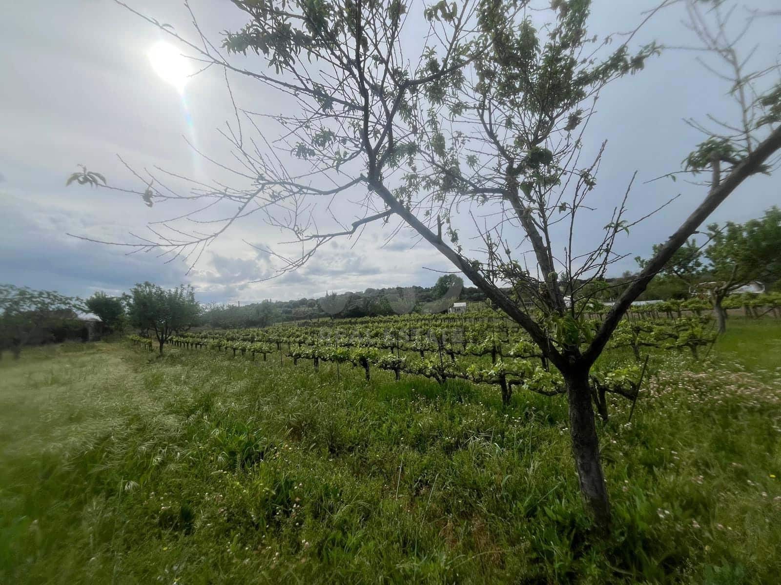 Terreno Non Edificato in vendita in Salamanca citta - 78.000 € (Rif: 9989228)