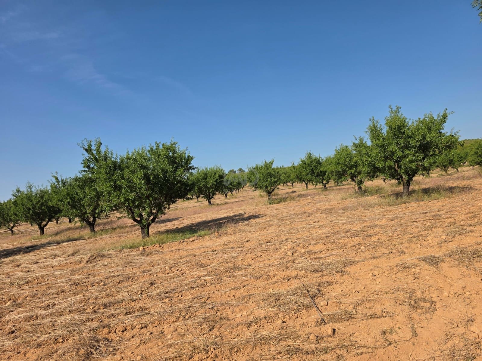 Finca/Casa di Campagna in vendita in Moratalla - 1.000.000 € (Rif: 9989229)