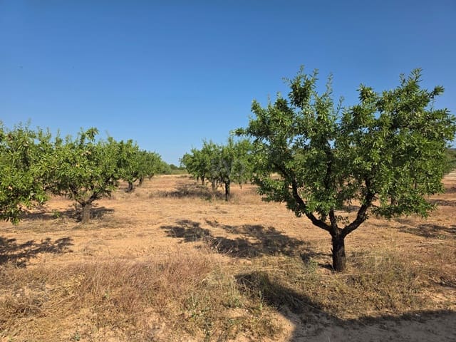 Finca/Casa Rural en Moratalla en venta - 1.000.000 € (Ref: 9989229)