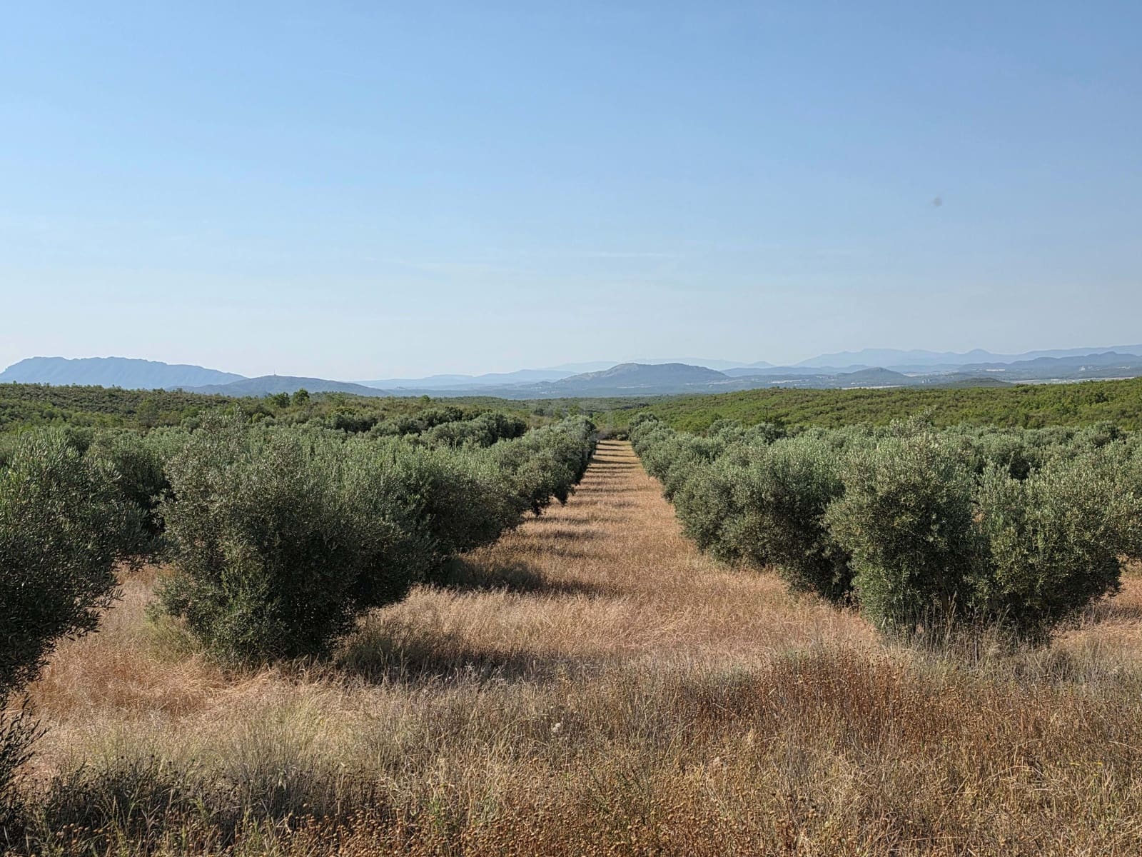Finca/Casa di Campagna in vendita in Moratalla - 1.000.000 € (Rif: 9989229)