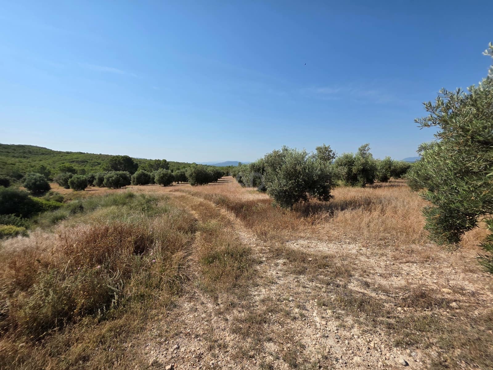 Finca/Casa di Campagna in vendita in Moratalla - 1.000.000 € (Rif: 9989229)