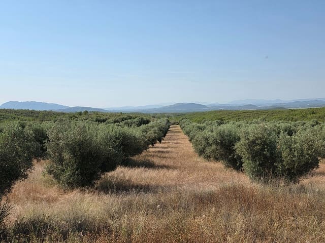 Finca/Casa Rural en Moratalla en venta - 1.000.000 € (Ref: 9989229)