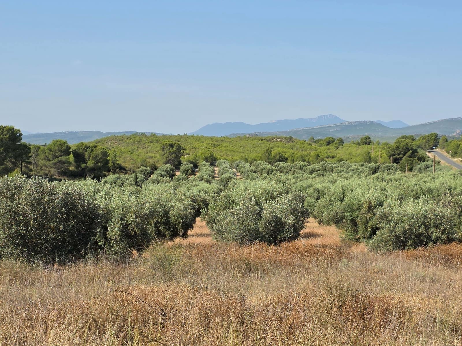 Finca/Casa di Campagna in vendita in Moratalla - 1.000.000 € (Rif: 9989229)