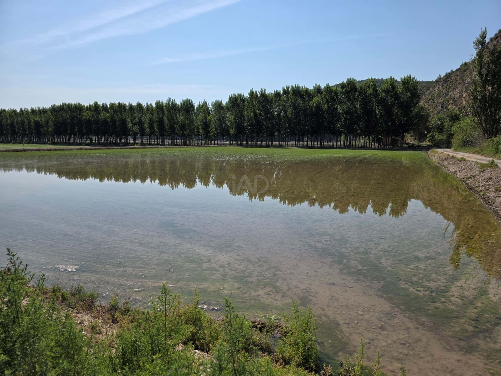 Finca/Casa di Campagna in vendita in Moratalla - 1.000.000 € (Rif: 9989229)