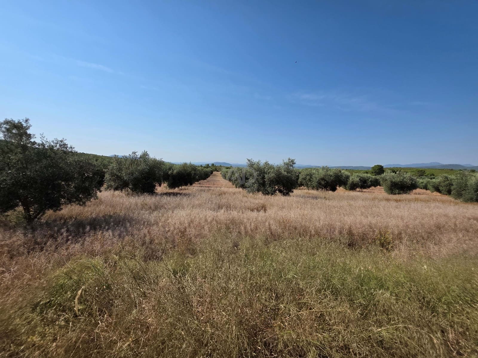 Finca/Casa di Campagna in vendita in Moratalla - 1.000.000 € (Rif: 9989229)