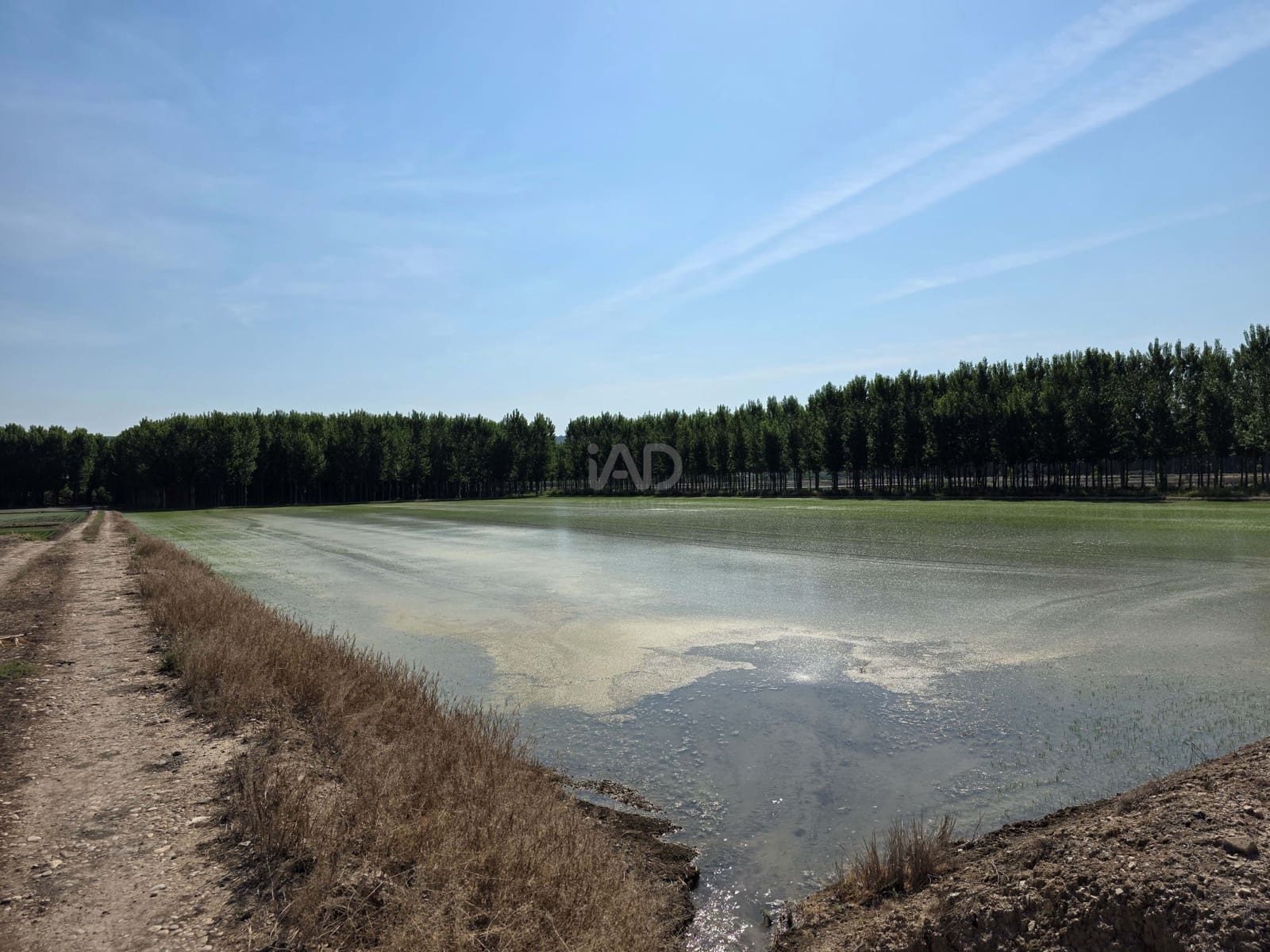 Finca/Casa di Campagna in vendita in Moratalla - 1.000.000 € (Rif: 9989229)