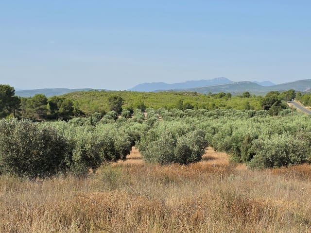 Finca/Casa Rural en Moratalla en venta - 1.000.000 € (Ref: 9989229)