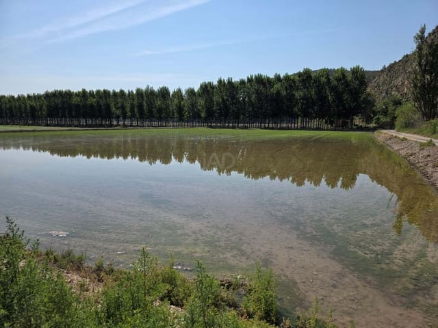 Finca/Casa Rural en Moratalla en venta - 1.000.000 € (Ref: 9989229)