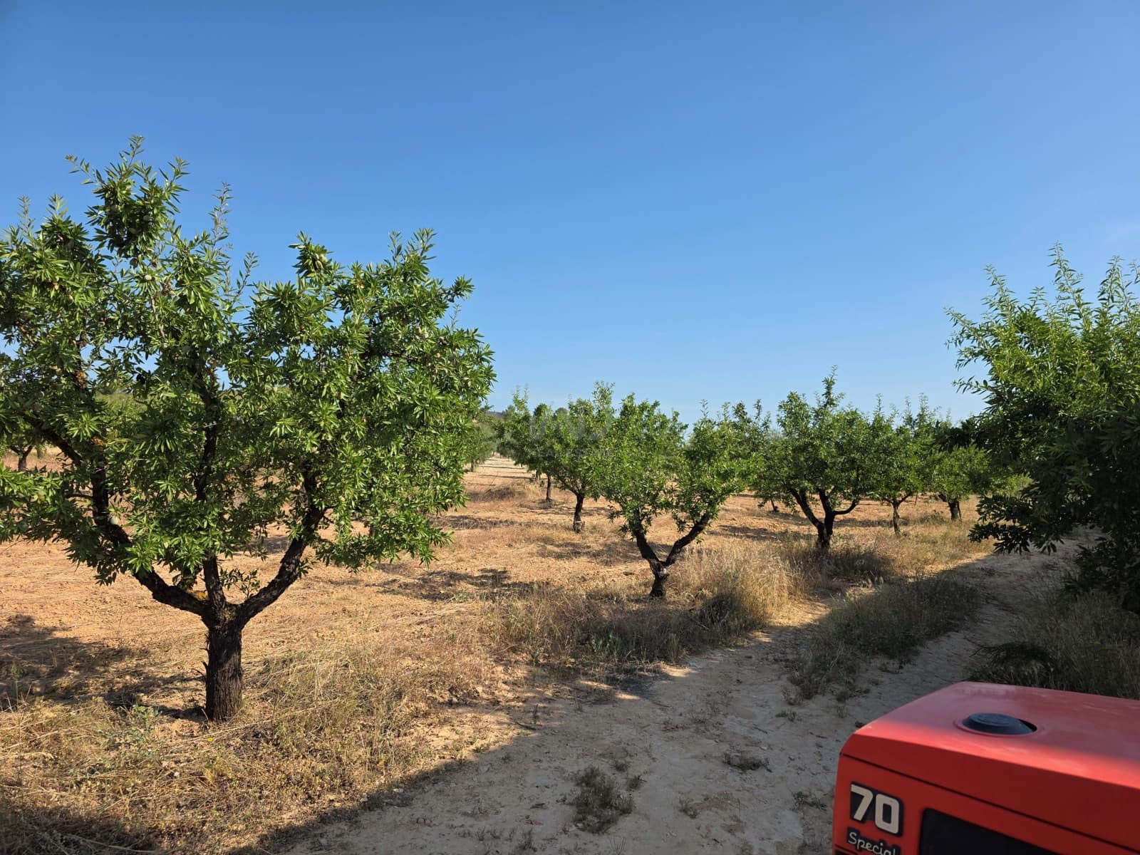 Finca/Casa di Campagna in vendita in Moratalla - 1.000.000 € (Rif: 9989229)