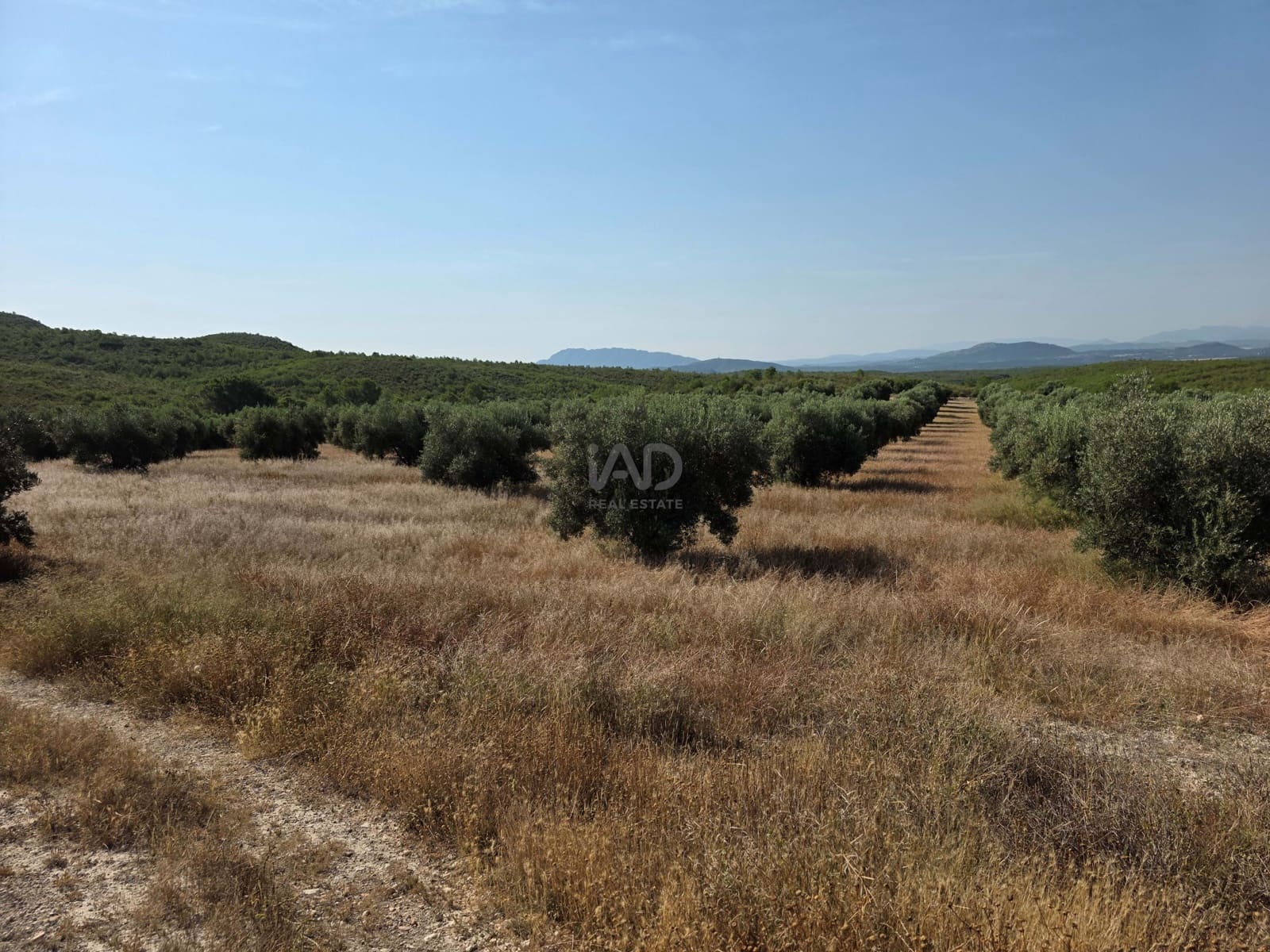 Finca/Casa di Campagna in vendita in Moratalla - 1.000.000 € (Rif: 9989229)
