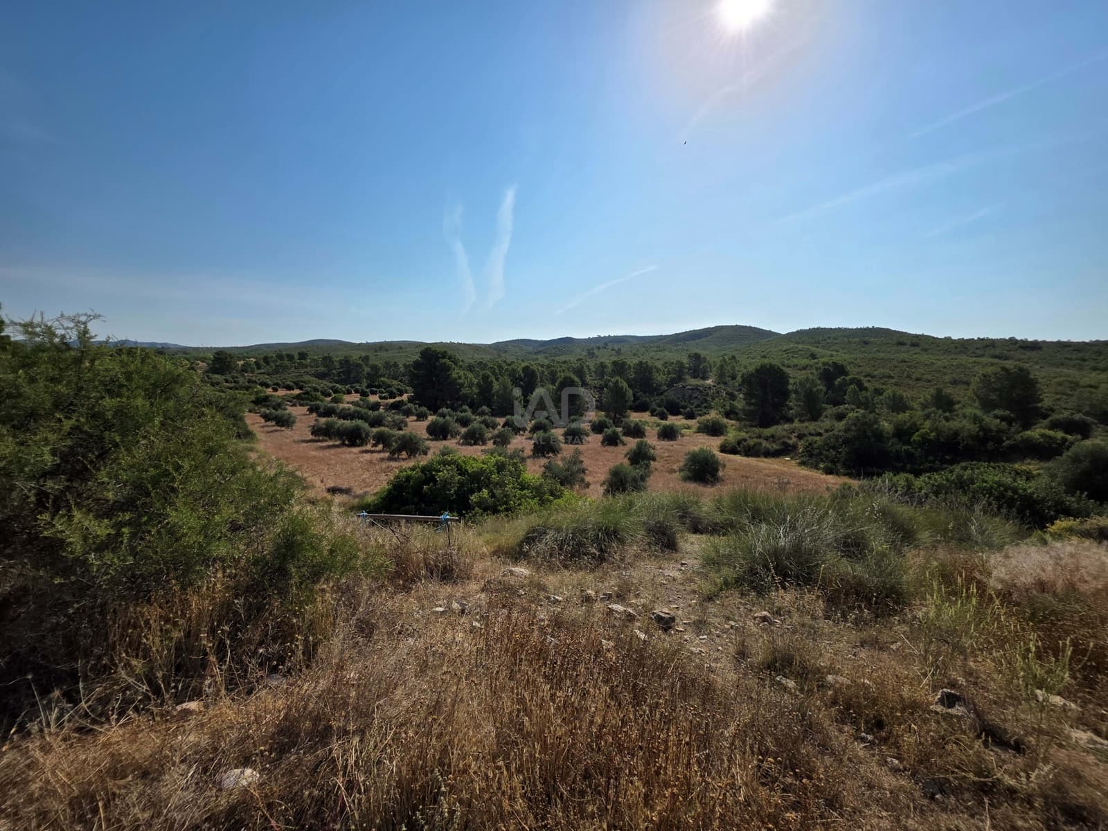Finca/Casa di Campagna in vendita in Moratalla - 1.000.000 € (Rif: 9989229)