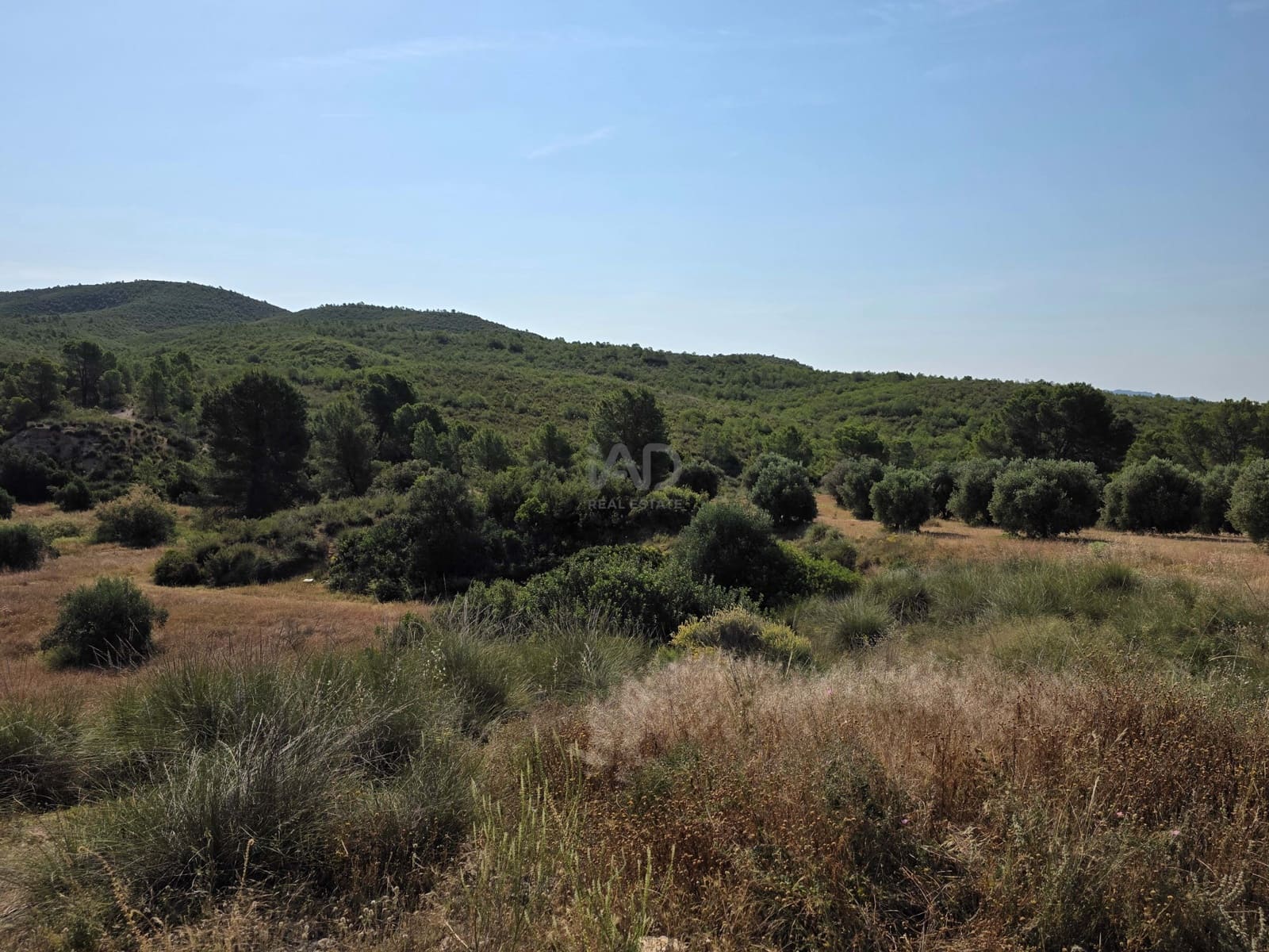 Finca/Casa di Campagna in vendita in Moratalla - 1.000.000 € (Rif: 9989229)