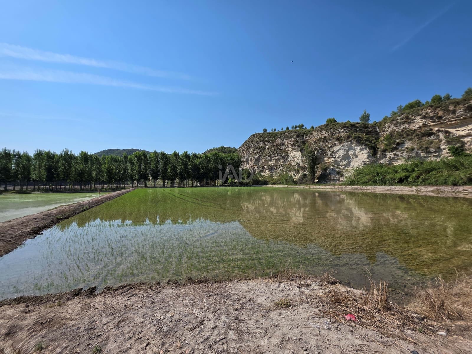 Finca/Casa di Campagna in vendita in Moratalla - 1.000.000 € (Rif: 9989229)