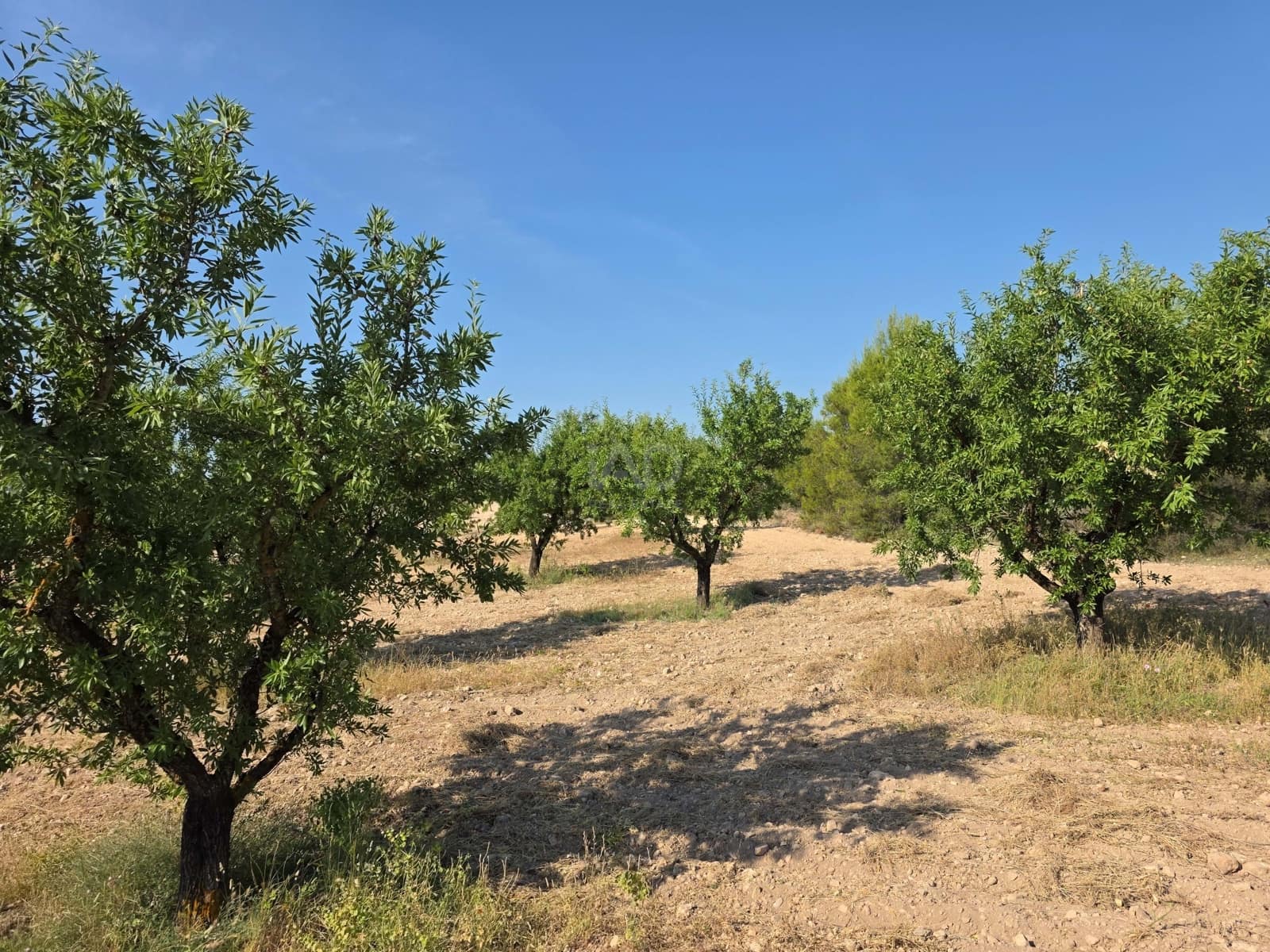 Finca/Casa di Campagna in vendita in Moratalla - 1.000.000 € (Rif: 9989229)