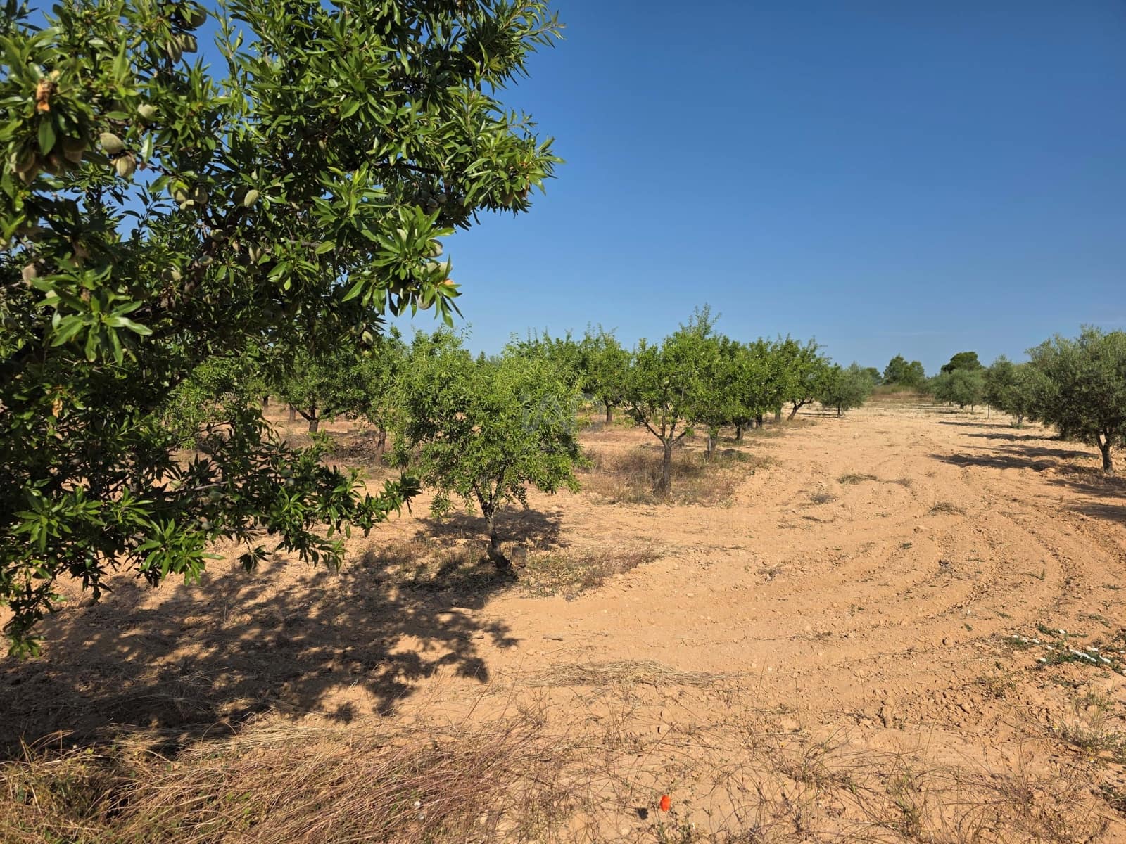 Finca/Casa di Campagna in vendita in Moratalla - 1.000.000 € (Rif: 9989229)