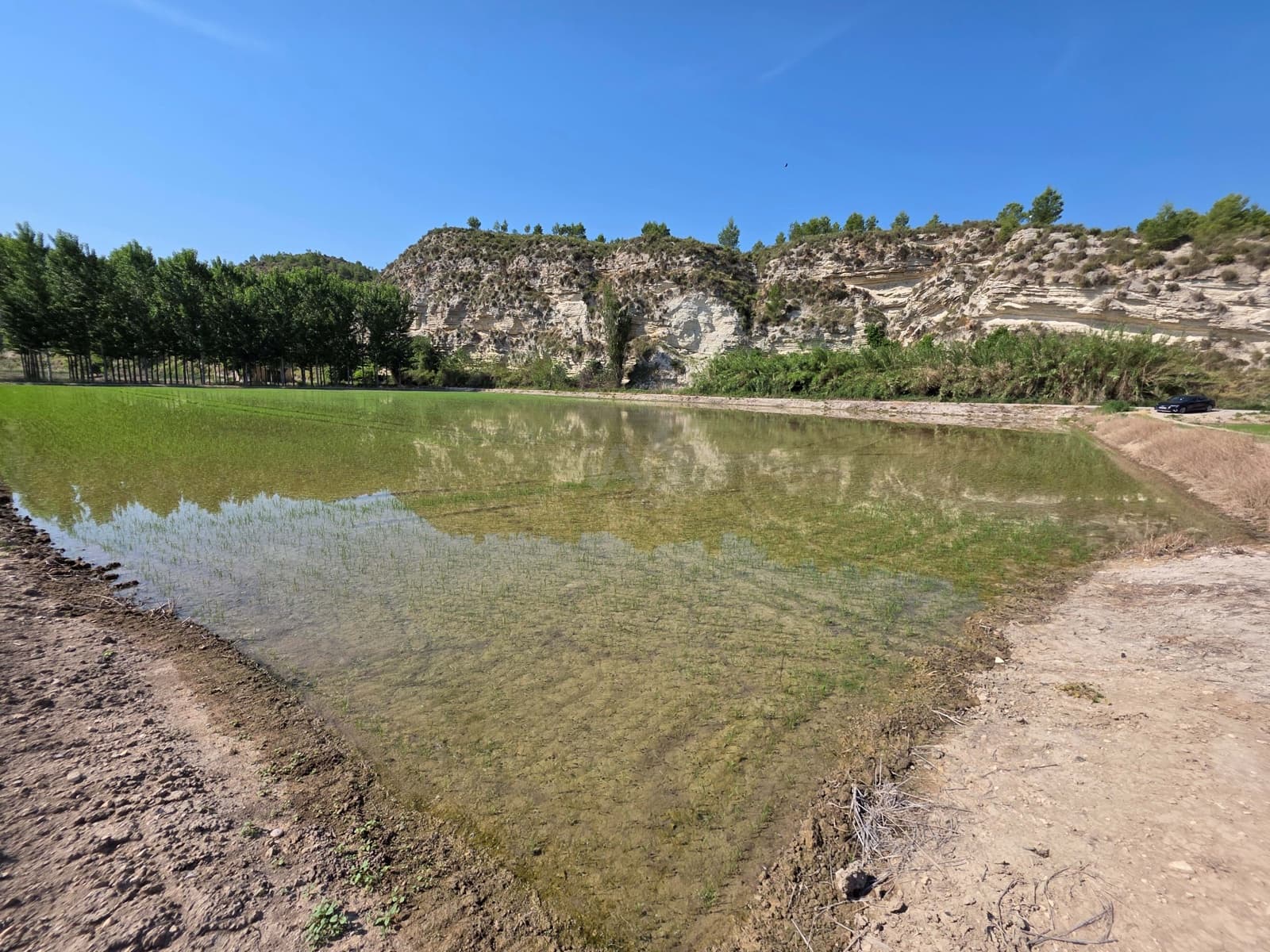 Finca/Casa di Campagna in vendita in Moratalla - 1.000.000 € (Rif: 9989229)