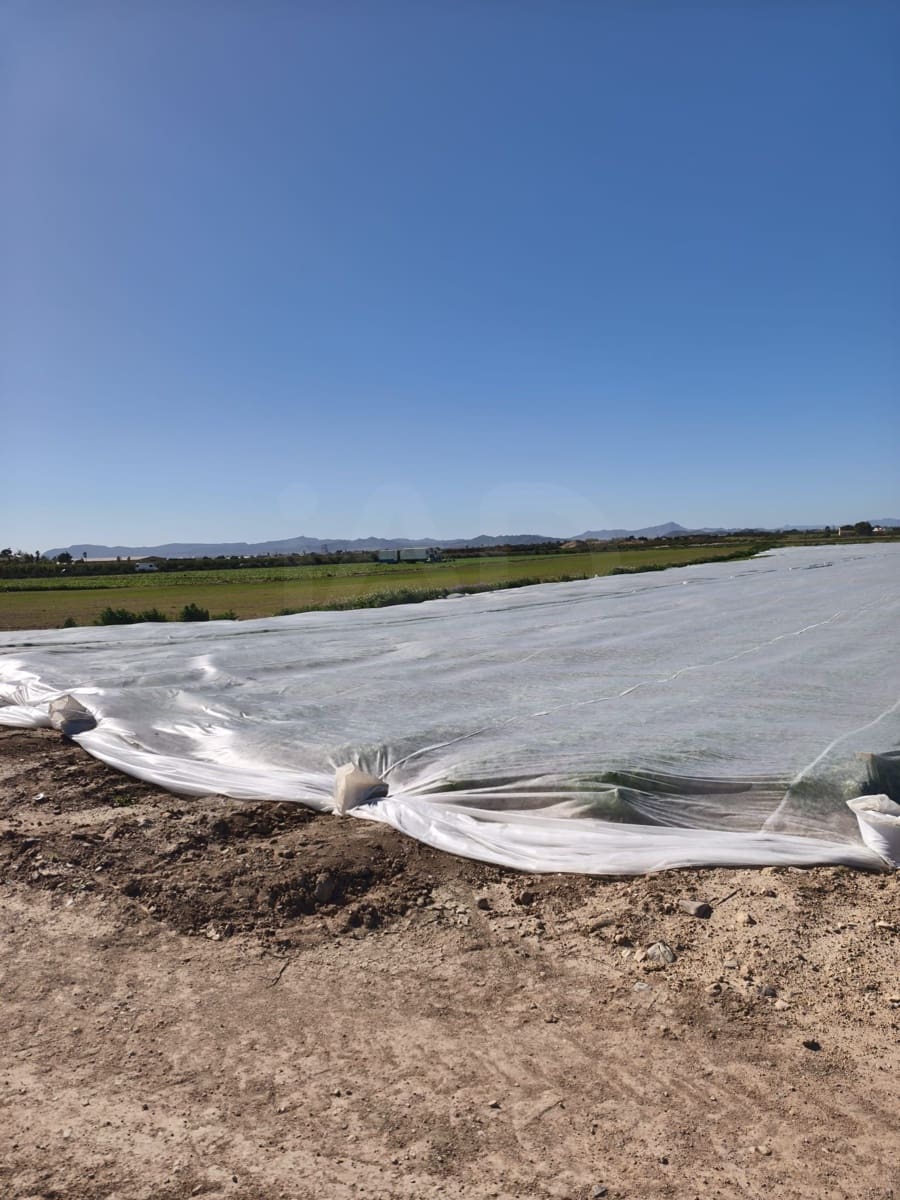 Ubebygd land til salgs i Roldan - € 7 990 000 (Ref: 9989232)