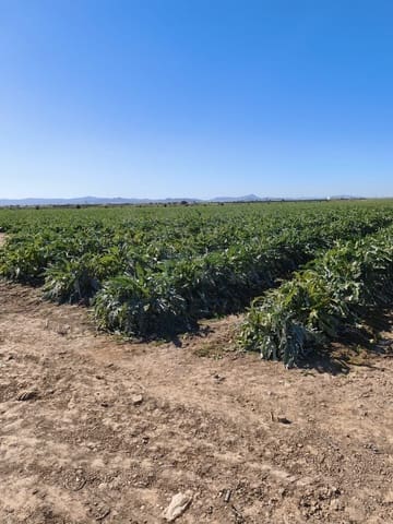 Ubebygd land til salgs i Roldan, Torre-Pacheco - € 7 990 000 (Ref: 9989232)