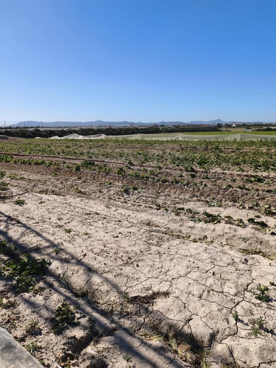 Ubebygd land til salgs i Roldan - € 7 990 000 (Ref: 9989232)