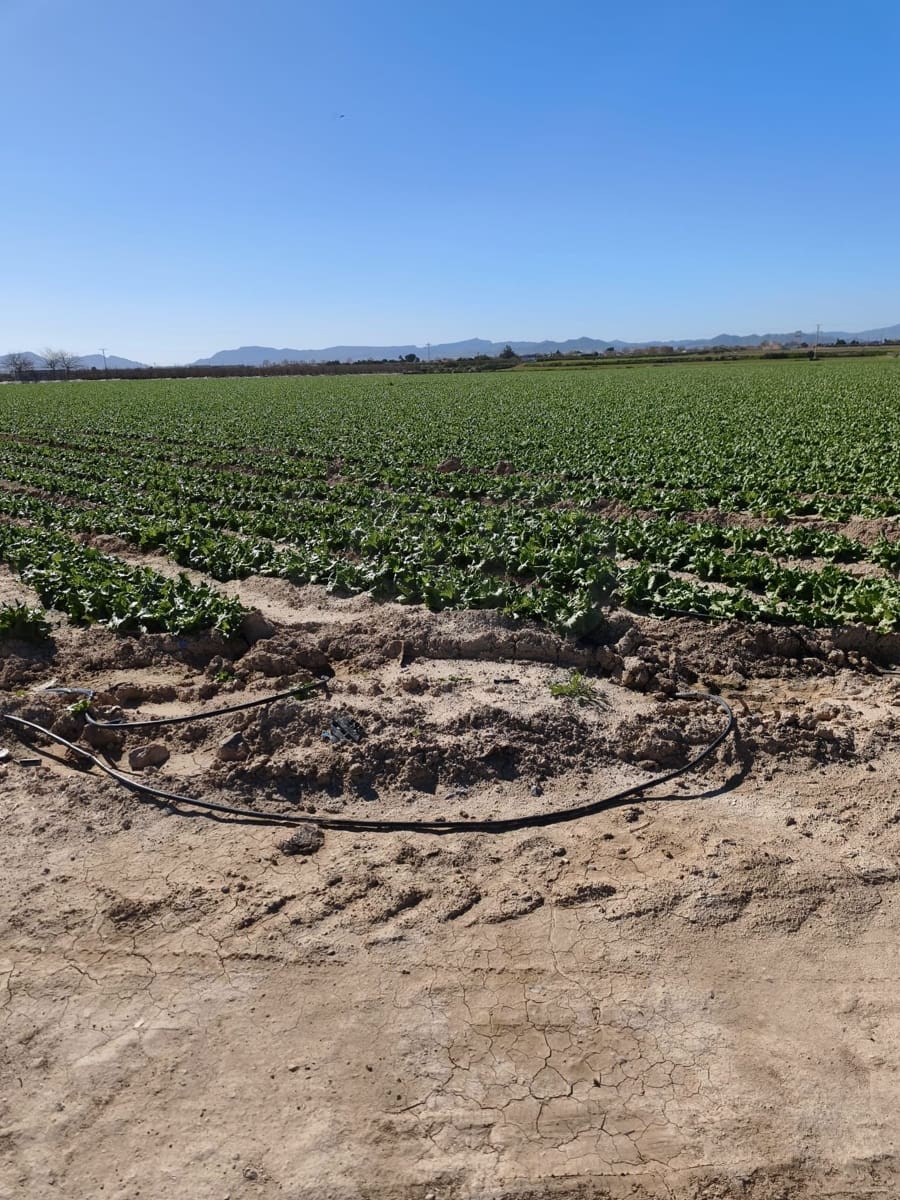 Ubebygd land til salgs i Roldan - € 7 990 000 (Ref: 9989232)