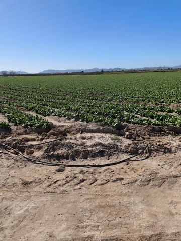 Ubebygd land til salgs i Roldan, Torre-Pacheco - € 7 990 000 (Ref: 9989232)