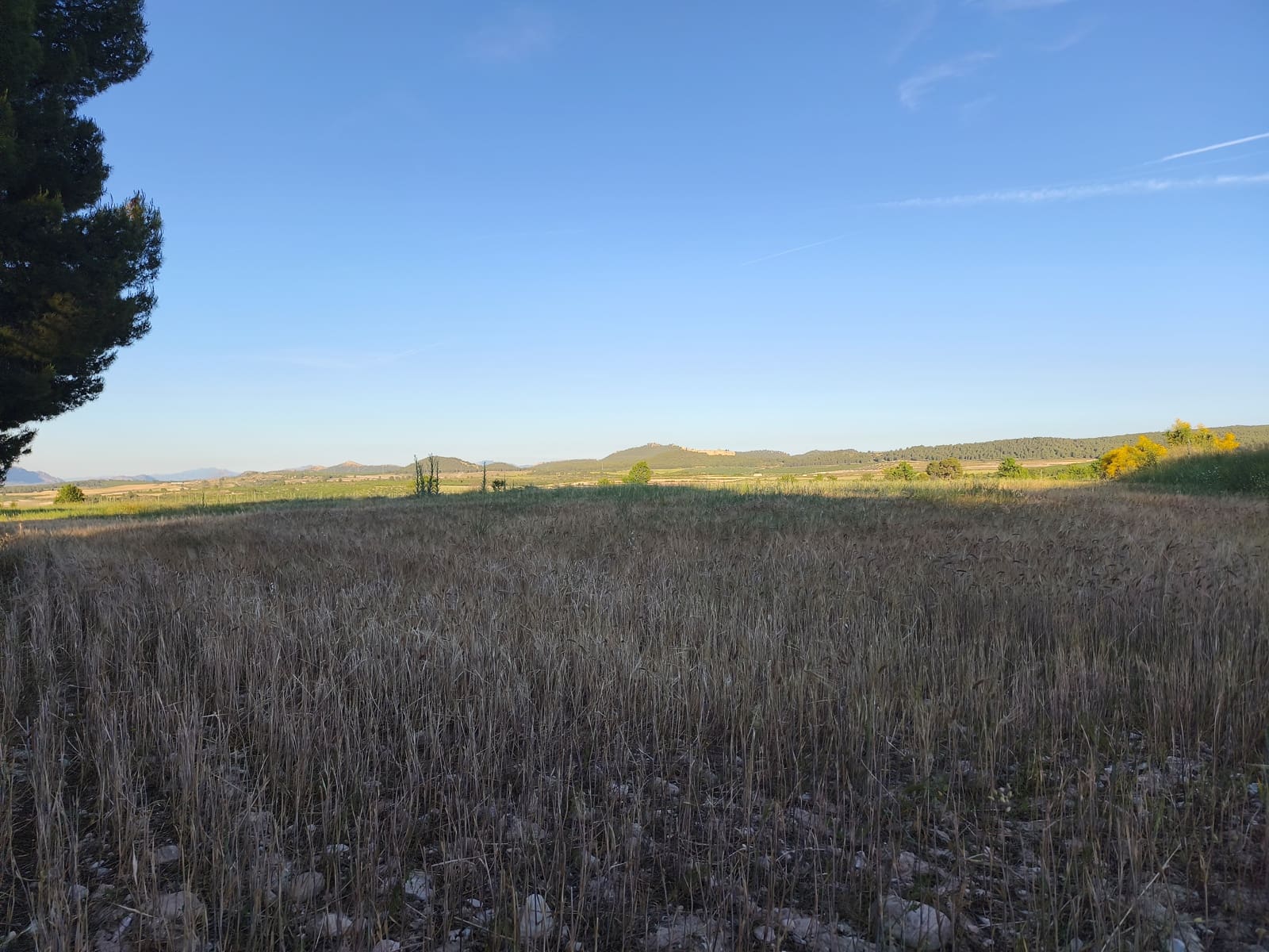 Finca/Casa di Campagna in vendita in Moratalla - 2.500.000 € (Rif: 9989233)