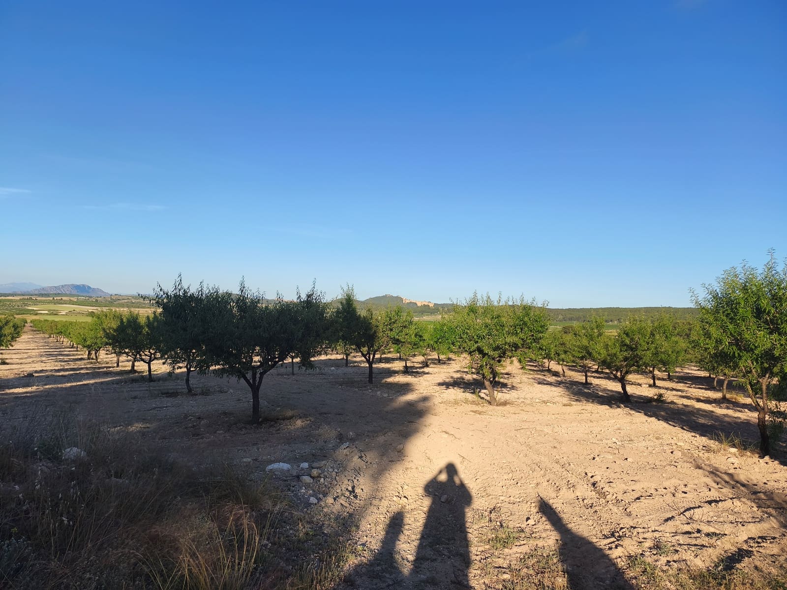 Finca/Casa di Campagna in vendita in Moratalla - 2.500.000 € (Rif: 9989233)