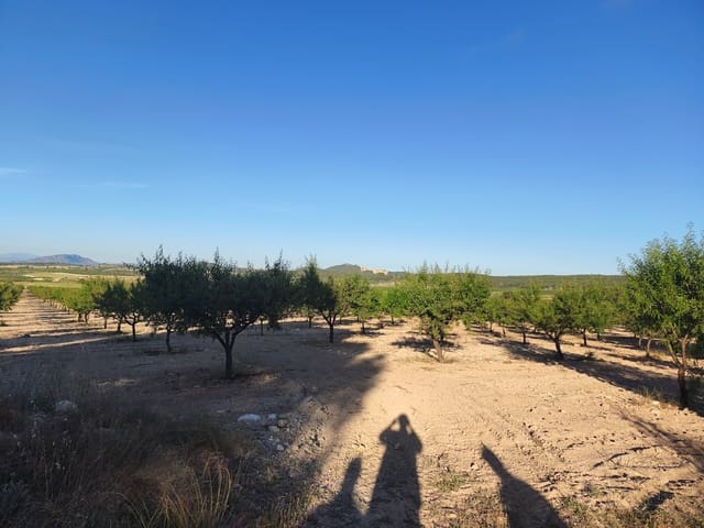 Finca/Casa Rural en Moratalla en venta - 2.500.000 € (Ref: 9989233)