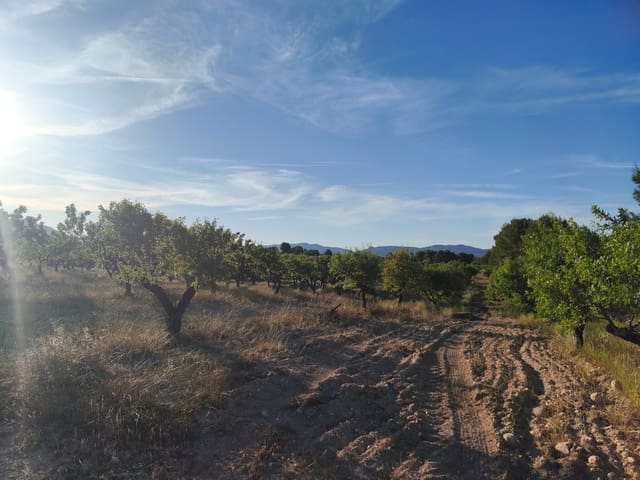 Finca/Casa Rural en Moratalla en venta - 2.500.000 € (Ref: 9989233)
