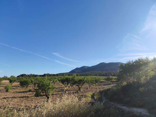 Finca/Casa Rural en Moratalla en venta - 2.500.000 € (Ref: 9989233)