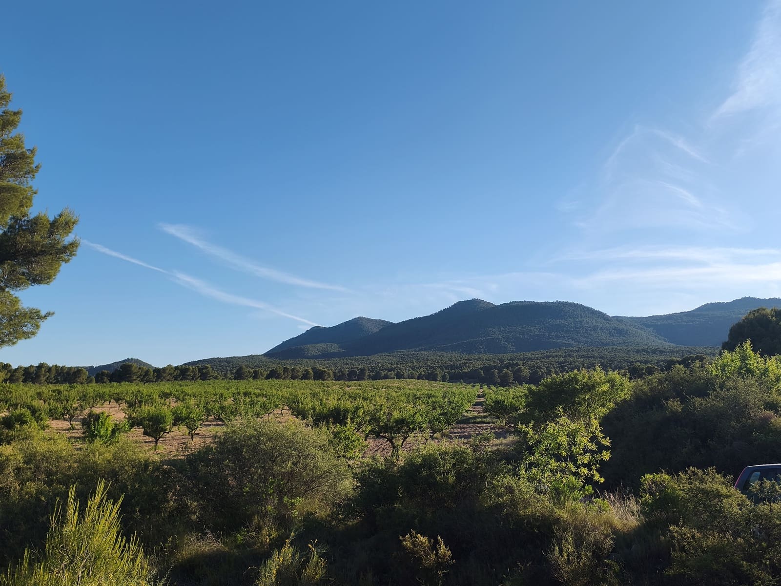 Finca/Casa di Campagna in vendita in Moratalla - 2.500.000 € (Rif: 9989233)