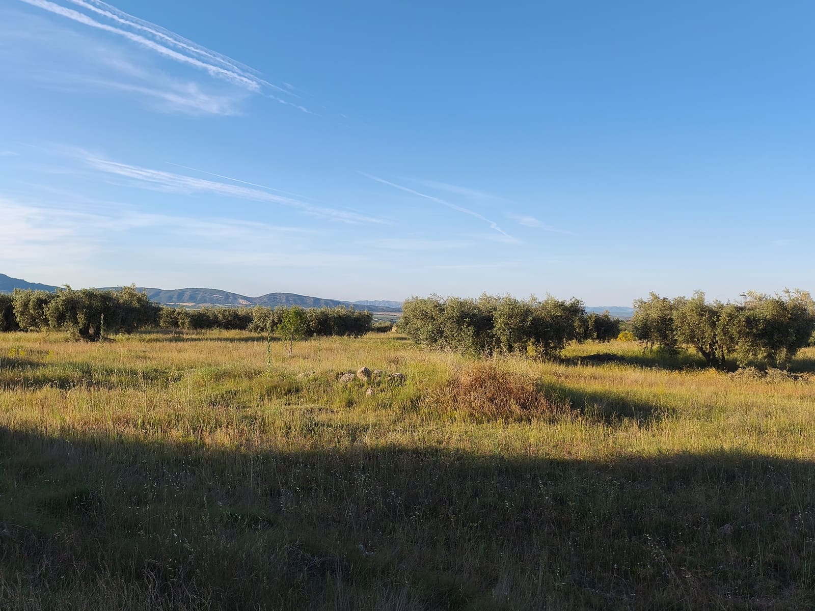 Finca/Casa di Campagna in vendita in Moratalla - 2.500.000 € (Rif: 9989233)