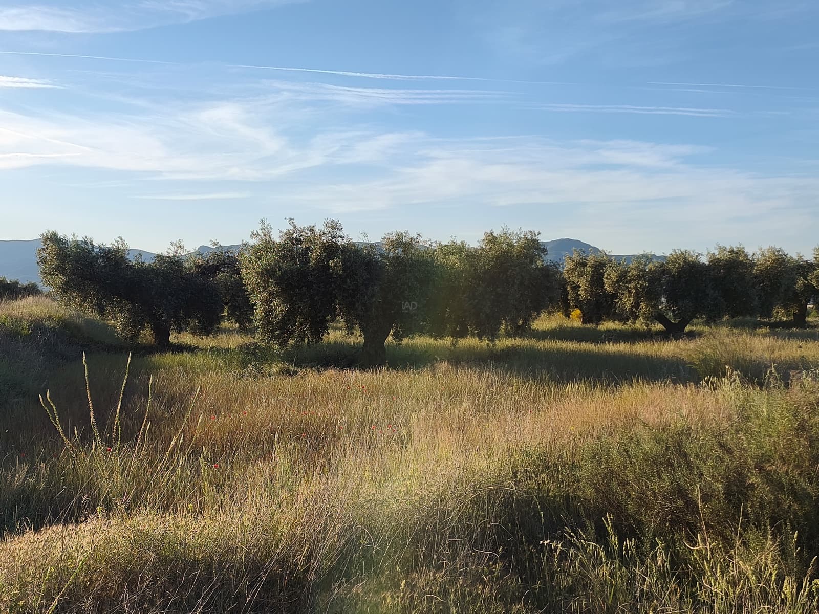 Finca/Casa di Campagna in vendita in Moratalla - 2.500.000 € (Rif: 9989233)