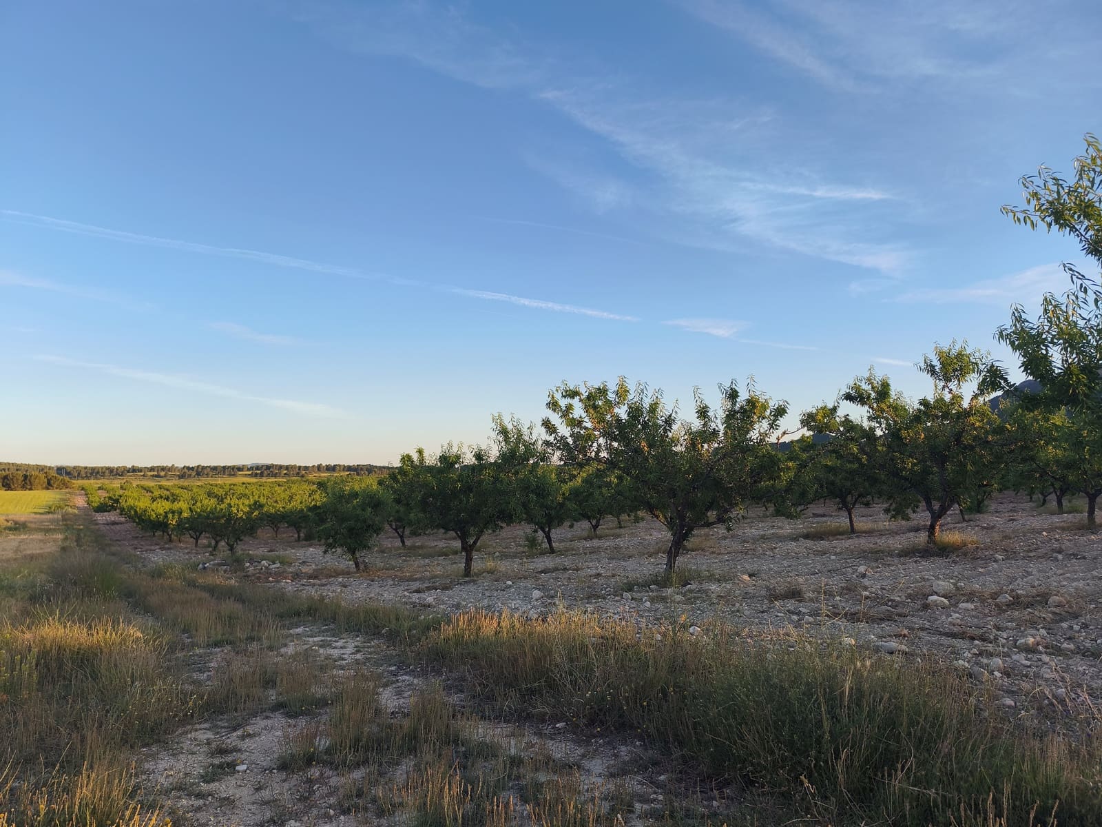 Finca/Casa di Campagna in vendita in Moratalla - 2.500.000 € (Rif: 9989233)